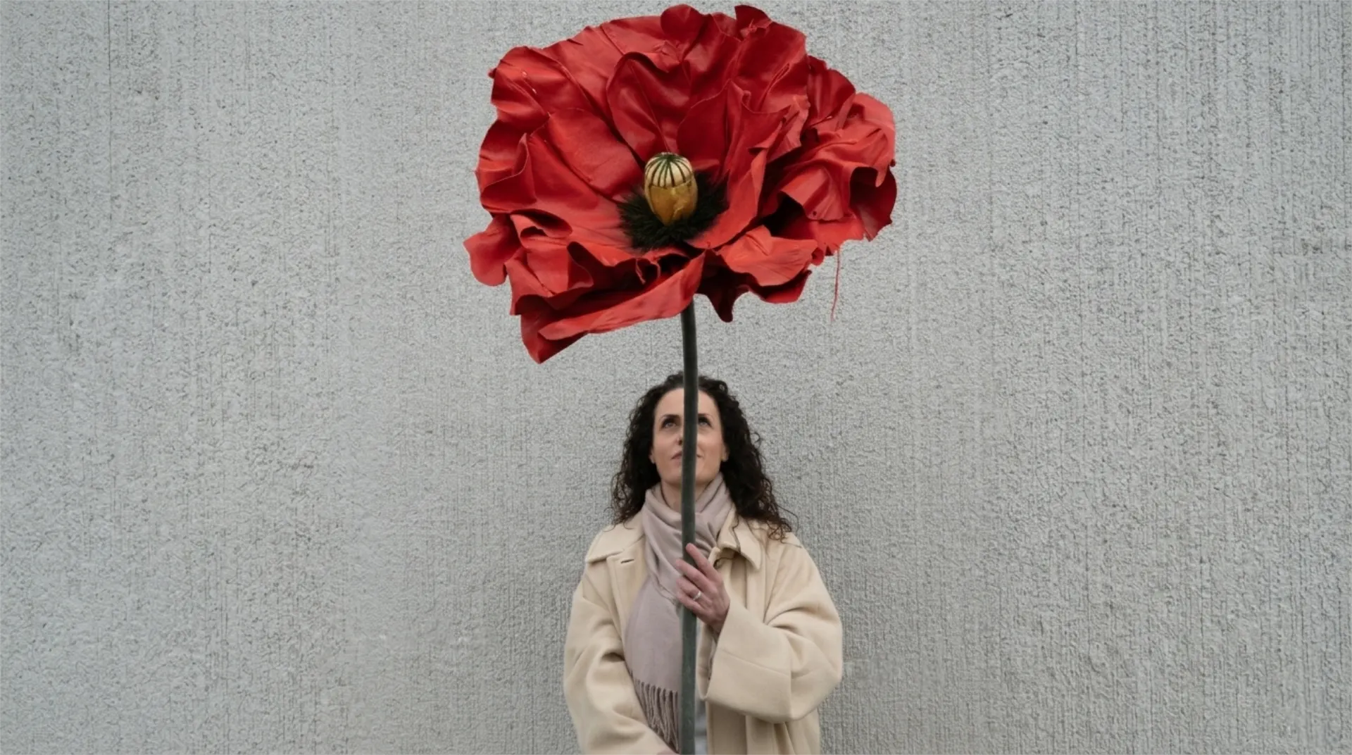 Header image Papaveri Eterni